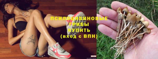 таблы Алексеевка