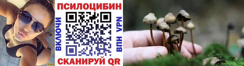 как найти закладки  Среднеколымск  Галлюциногенные грибы Magic Shrooms 